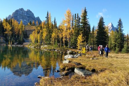 Daily Guided Hiking in Banff, Canadian Rockies