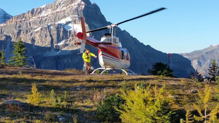 Private Heli Hiking Experiences