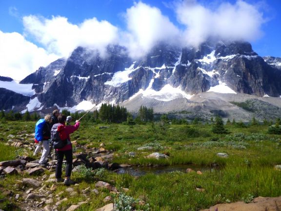 Hikers traverse alpine meadow with Canadian Rockies in background