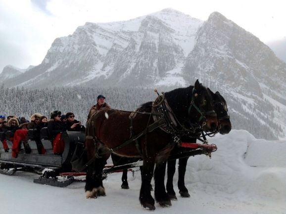 optional sleigh ride at Lake Louise with White Mountain Adventures