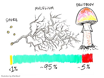 Mycelium Network