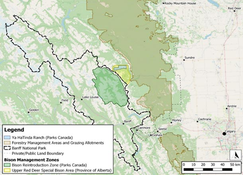 map of bison Banff National Park