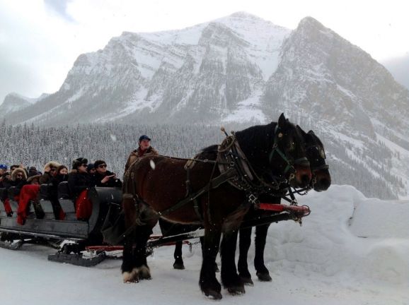 horse drawn sleigh ride